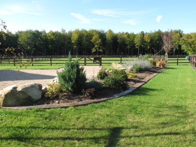 jardin et cheval